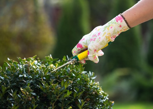 Professional gardening services in Kenley for well-kept outdoor spaces
