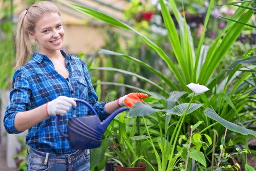 Local gardener carrying out lawn and border maintenance in Kenley