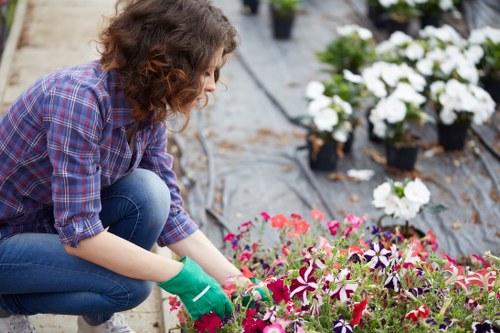 Healthy green lawn care in Kenley with neat grass edging