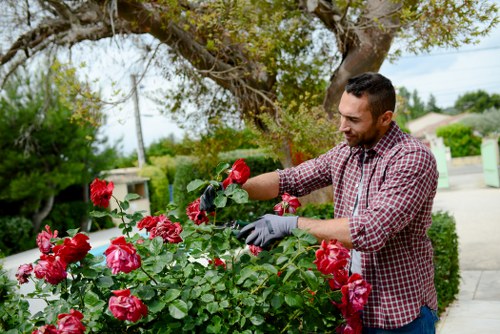 Screen-reader friendly gardening service page for Kenley