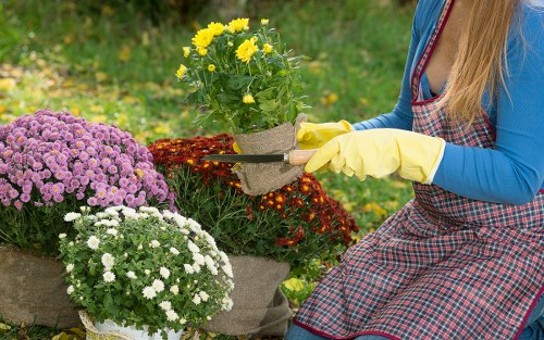 Professional lawn care treatments for gardens in Kenley