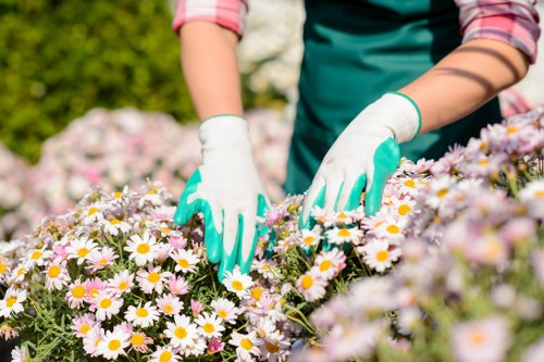 Kenley garden maintenance with pruning, edging, and clean pathways