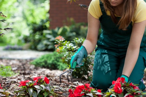 Well-kept garden in Kenley with regular maintenance and green waste removal