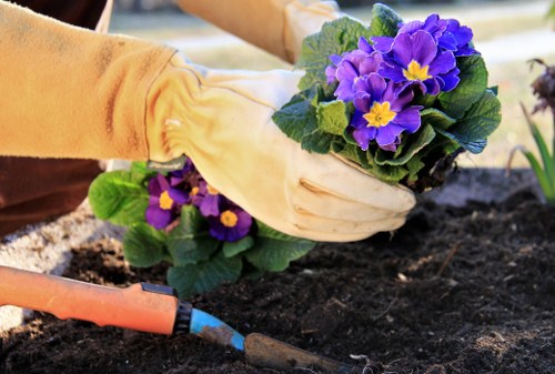 Soft landscaping and seasonal planting in a Kenley outdoor space