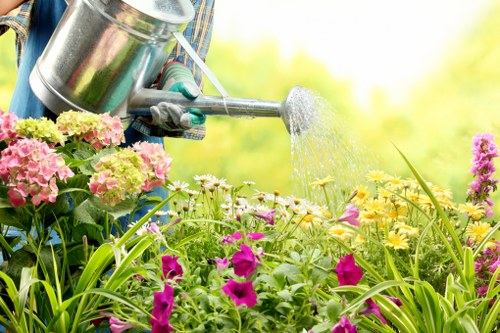 Soft landscaping in Kenley with lawn, flowers, and borders