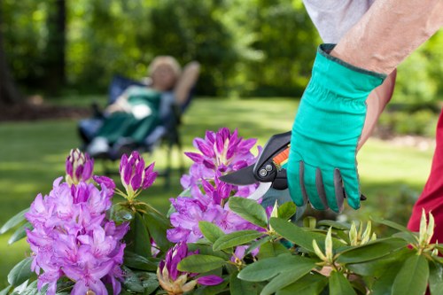 Accessible browsing experience for Gardeners Kenley visitors