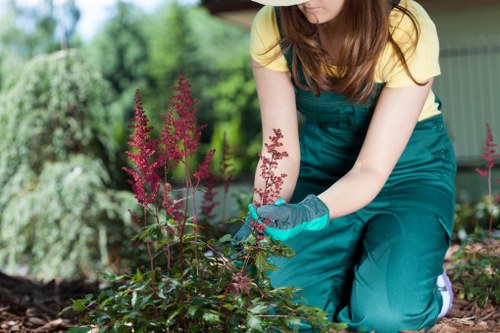 Transparent quote policy for Kenley garden services