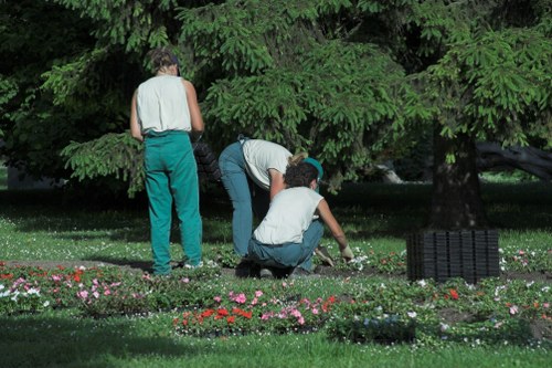 Seasonal lawn mowing and garden maintenance in Kenley