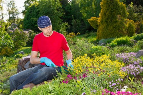 Seasonal garden care and hedge trimming for Kenley homes