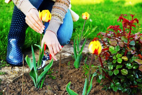 Gardening services in Kenley for residential and commercial properties