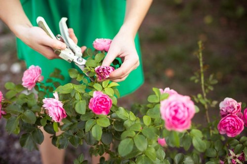 Seasonal garden maintenance in Kenley with tidy borders and plants