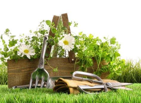 Professional gardeners in Kenley shaping shrubs and seasonal planting