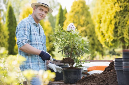 Tree surgeon assessing a tree for removal in Kenley