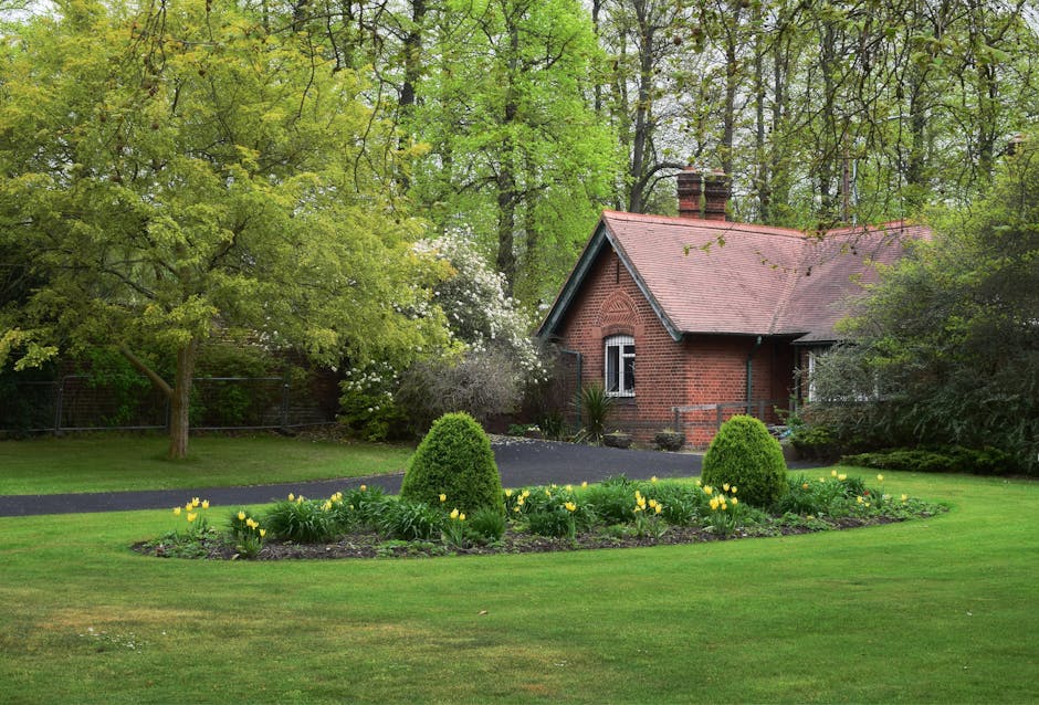 A neatly maintained garden featuring a lush green lawn with a circular flower bed in the center, bordered by small yellow tulips and two trimmed, rounded shrubbery bushes. To the left, a slender tree 
