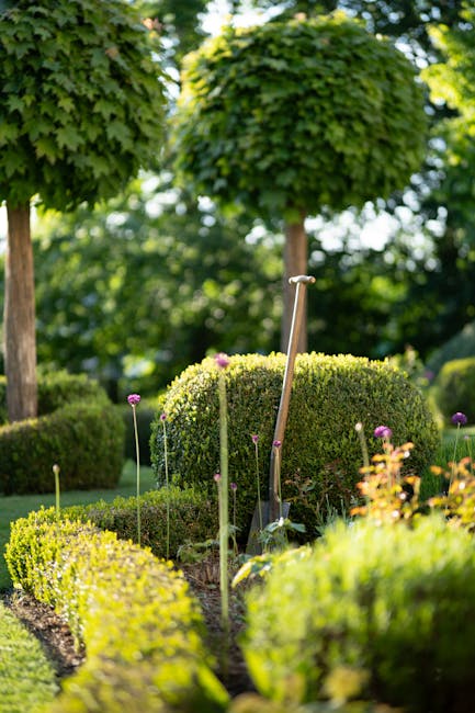 Kenley Common garden maintenance tips from local gardeners
