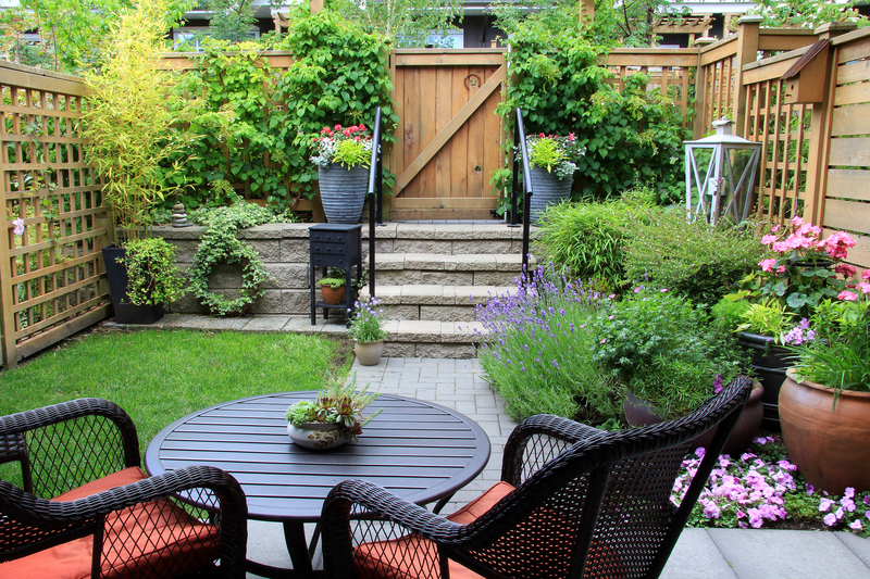 Garden backyard
